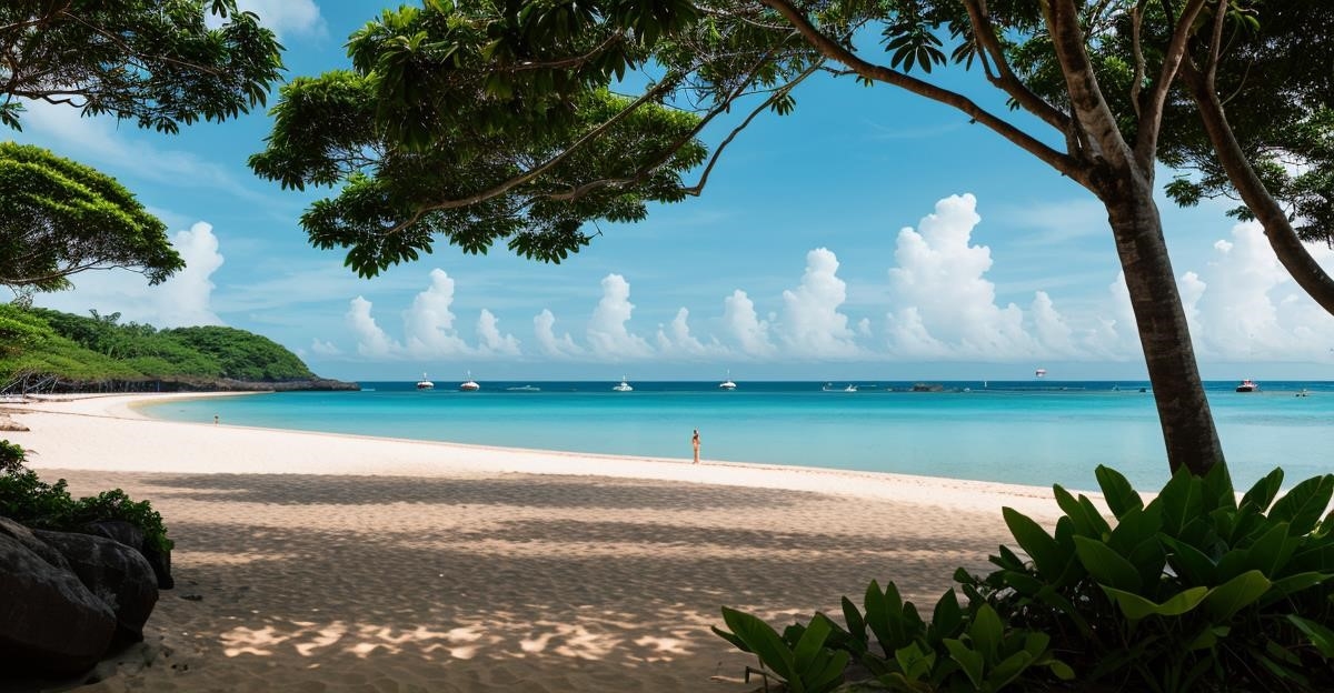 - Introduction: Découverte de la beauté des plages singapouriennes